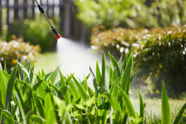 24/7 Emergency Mosquito Control experts in Groveville, NJ