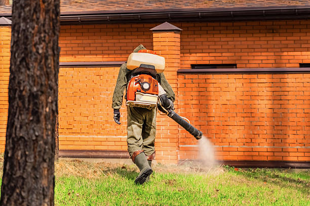 Top rated local Mosquito Control specialists in Groveville, NJ